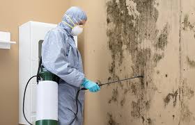 Why You Should Choose Our Mold Remediation Services in Lowes Island, VA